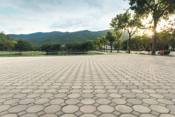 Best Driveway Pavers Near Me  in Diand, MO